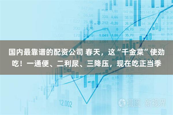 国内最靠谱的配资公司 春天，这“千金菜”使劲吃！一通便、二利尿、三降压，现在吃正当季