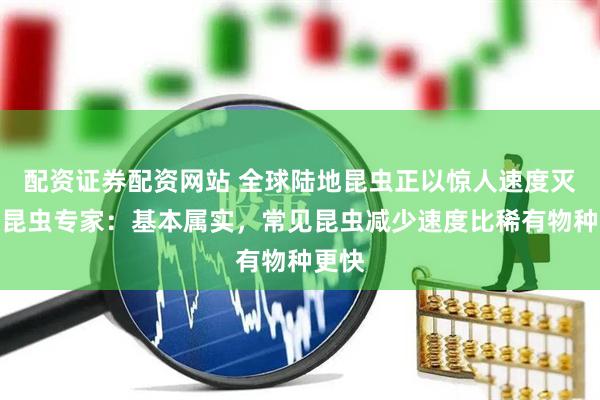 配资证券配资网站 全球陆地昆虫正以惊人速度灭绝？昆虫专家：基本属实，常见昆虫减少速度比稀有物种更快